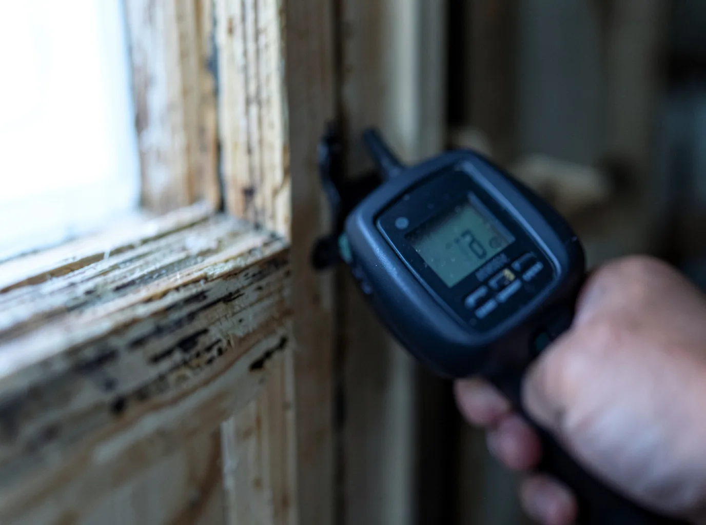 Moisture Inspection And Documentation in Hamilton, IN